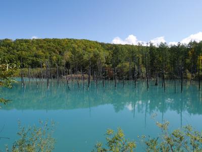 10月の青い池と十勝岳の紅葉
