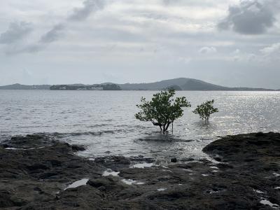 2019年末年始は南インド洋の国々アイランドホッピング(7)フランス海外県マヨットのマムズ編