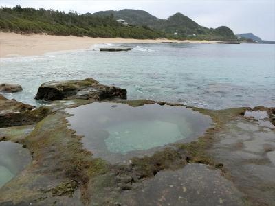 奄美大島(’20.1月)