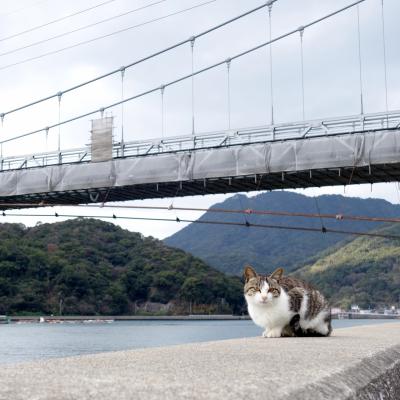 熊本 海岸線の旅② 天草諸島・洞窟風呂 ～島と橋と先端に夢中で世界遺産に行けない の巻～