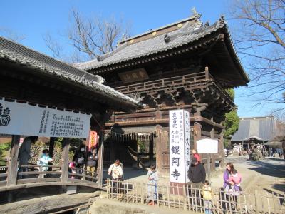 日本百名城巡りで足利氏館・鑁阿寺（ばんなじ）へ