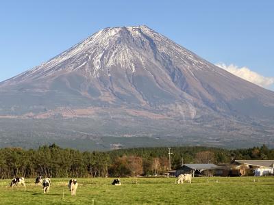 友人の誕生日祝いを兼ねて富士山へ