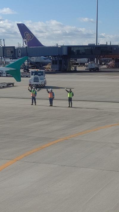 2019年 旅納め。