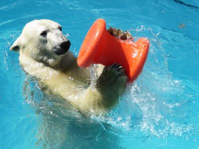 【浜松市動物園】　2018/05/15