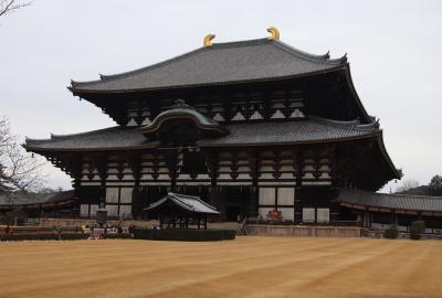 冬の枯れの東大寺散策
