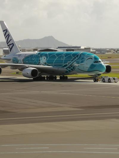 2020新春ハワイ⑦A380フライングホヌで帰国