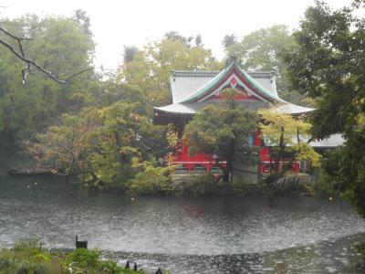 井の頭池と吉祥寺界隈