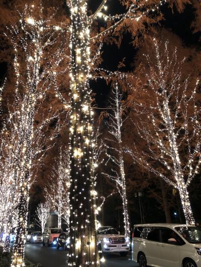 京都でクリスマスと年末年始☆