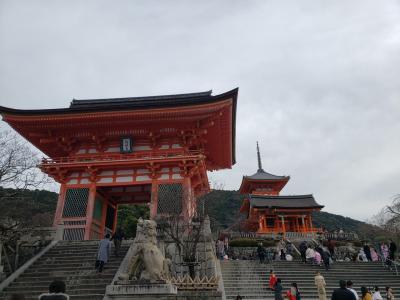 大阪京都の旅