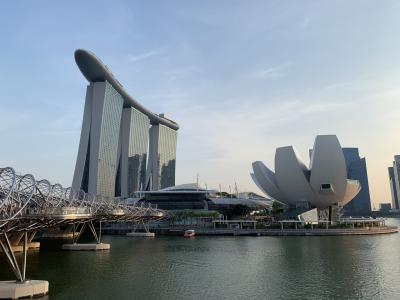シンガポール旅行～歩いて、泳いで、節約～　1・2日目