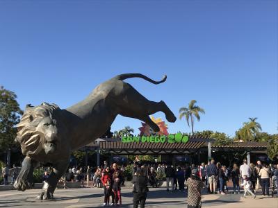 9歳子連れ★カリフォルニア州旅行④★サンディエゴ動物園とラホヤコーブ