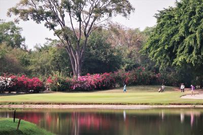 寒い日本逃れ、温かいPattayaでエンジョイGolf　Jan.後編 2020