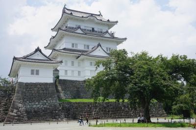 神奈川旅行記～2019 小田原市編～