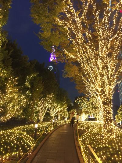 新宿でアニバーサリーランチ❣️パークハイアット東京でニューヨーク気分