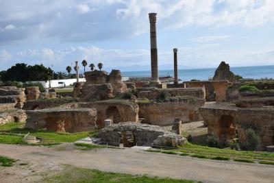 夫婦で行ったチュニジア(カルタゴからシディ・ブ・サイド&バルドー博物館)