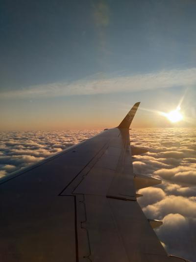 2020JANウクライナで寝正月･キエフの街を散策･ウクライナの子供達は寒い冬でも元気でした！