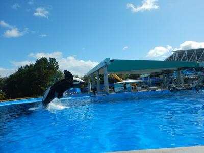 9歳子連れ★フロリダ・オーランド★~5日目・シーワールド編~