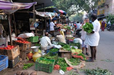 (徐々に更新) January 2020 Chennai, India