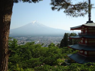 金時山、ポーラ美術館、新倉富士浅間神社②