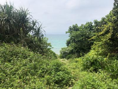 八重山一人旅時々女子旅 その6