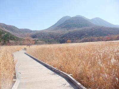 秋色に染まった九州の旅ーその２（大分県編）