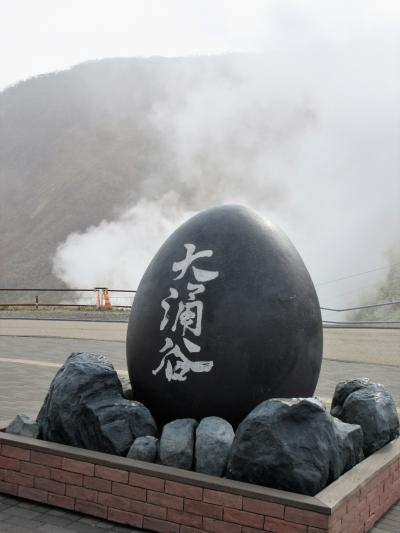 ２０１９年２月　関東３日目　その１　仙石原　大涌谷で富士山頂を見ました。