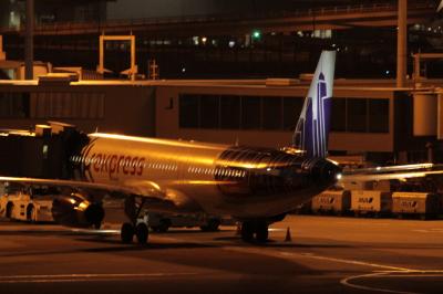 関西空港スカイビュー展望台夜景最高