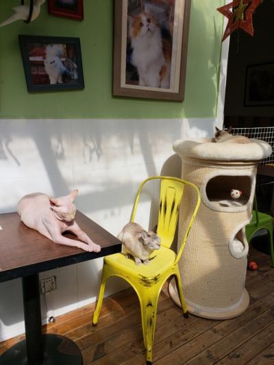 2019年の蘇州の旅 (9泊)__ Day 3 (前編 平江路)