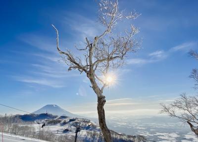 北海道ニセコでSKI「ノーザンリゾートアンヌプリ」滞在記