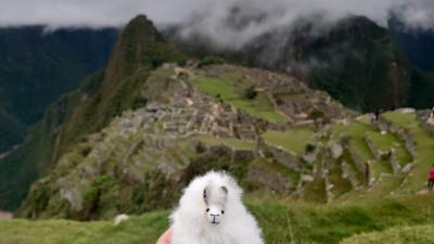 南米マチュピチュ・イグアスの滝を目指す旅2019④