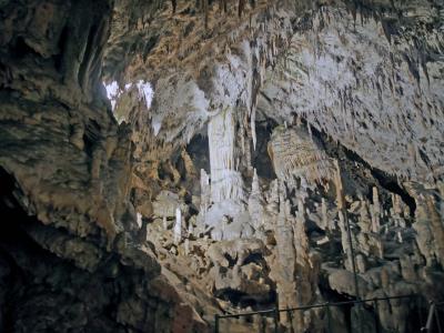喜寿記念スロヴェニア・クロアチア12日間旅行記⑥ポストイナ鍾乳洞の観光