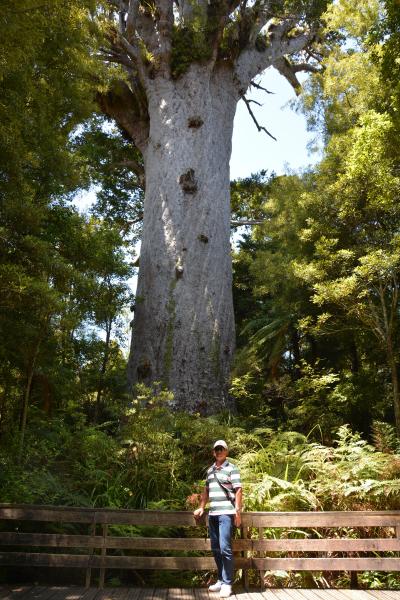 独り上手なオッサンの休暇・ANA特典ビジネスで行くAUS・Nzの旅：オークランド滞在編