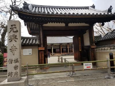 奈良　その１６