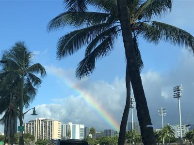 ハワイお土産リサーチ2020