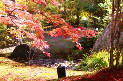 2018 秋の京都旅行①