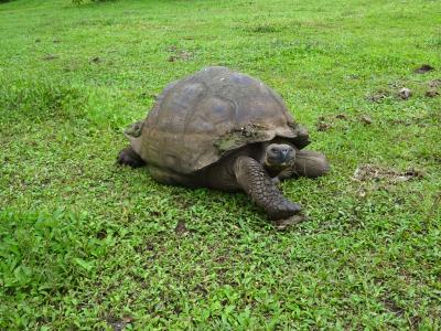 休みが長いなら。うぃっす！行ってきましたァ、エクアドル！　～キト・ガラパゴス諸島～?①