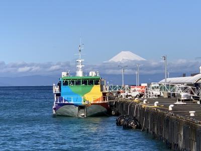 30年ぶりの大島へ