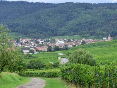 ビンゲンのヒルデガルトを訪ねる旅 4日目リクヴィールとコルマール