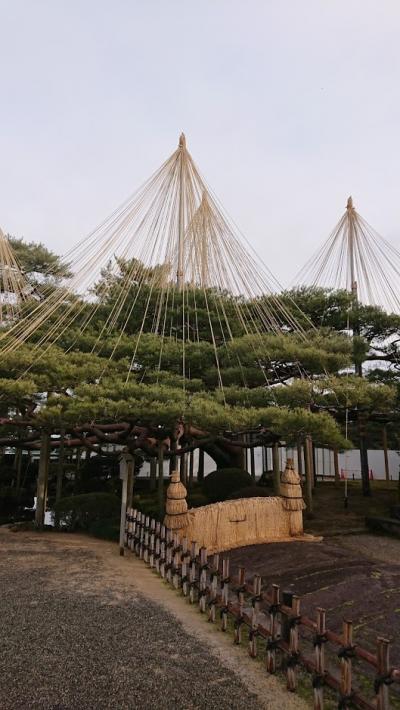 くまと行く北陸旅行その２