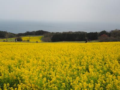 兵庫旅行①　淡路島ドライブ