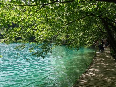 喜寿記念スロヴェニア・クロアチア12日間旅行記⑩プリトヴィツェ湖群・下湖群を歩く