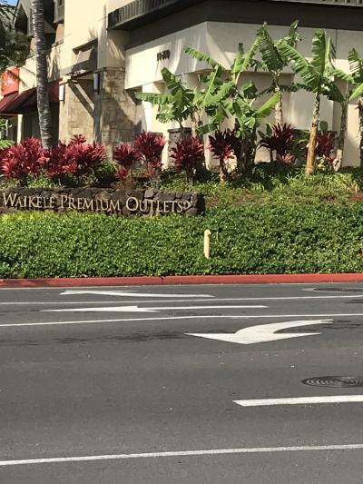 2020年１月　5泊7日 母と息子の2人旅　2日目