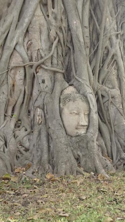 バンコク一人旅6日関