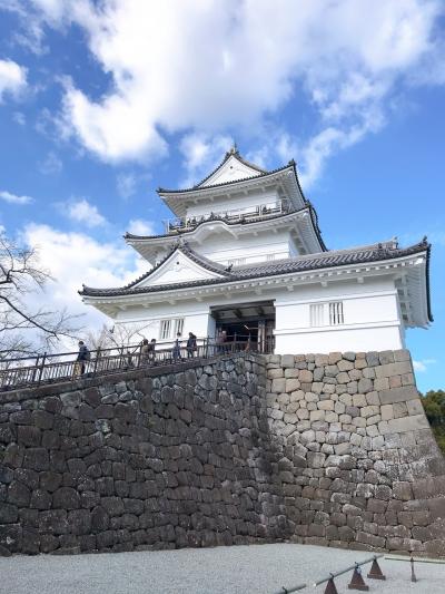 小田原で温泉とお刺身に癒される～