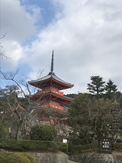 誕生日ランチで京都でビブグルマンフレンチ堪能&amp;清水寺