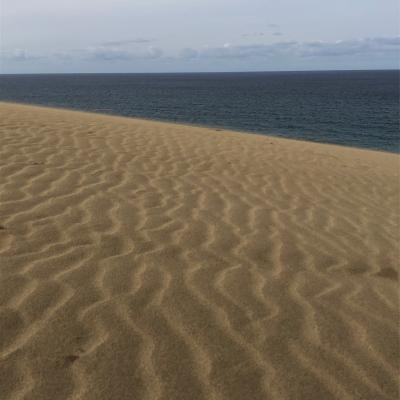 2020/1/22 - 27 広島出張終わりからの島根、鳥取旅行記　その6は鳥取砂丘です。