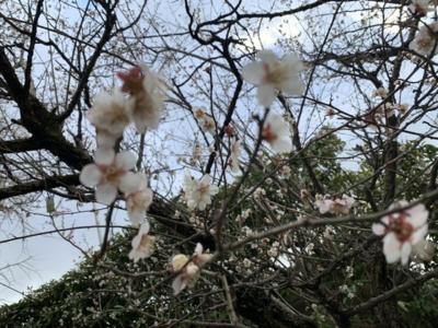 ちくご路ドライブ旅