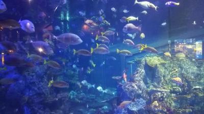 【2020Jan.伊勢】1泊4日！？超弾丸夜行バスの伊勢鳥羽旅行