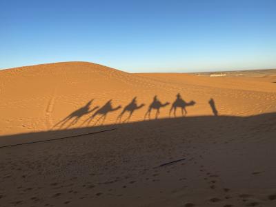 熟年夫婦の旅、初めてのアフリカ大陸　モロッコへ④サハラ砂漠編