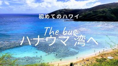 初めてのハワイ・・The Busに乗って東海岸、ハナウマ湾へ